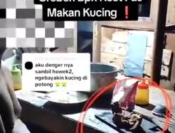 Warganet Dihebohkan Kasus Konsumsi Daging Kucing di Semarang