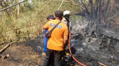 Bencana Terbaru di Indonesia: BNPB Catat Kejadian Bencana dan Antisipasi Dampak Cuaca