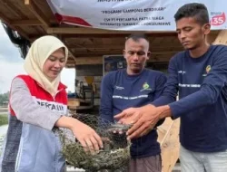 Sinergi PLTS dan Resiliensi Desa: Mengulas Dampak Program Energi Berdikari di Lhokseumawe