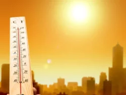 Dipicu El Nino, BMKG Prakirakan Curah Hujan Rendah Meluas di Sejumlah Wilayah