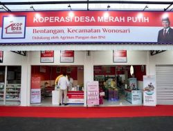 Kopdes Merah Putih Diproyeksikan Raup Cuan Rp597 Juta per Tahun Hanya dari Barang Subsidi