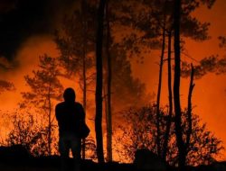 Petugas Damkar Cilegon Berjibaku Padamkan Kebakaran Ilalang di Belakang Lapas