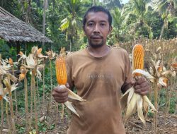 Dorong Modernisasi Desa, Bantuan Alsintan Kementan Tarik Minat Generasi Muda Bertani